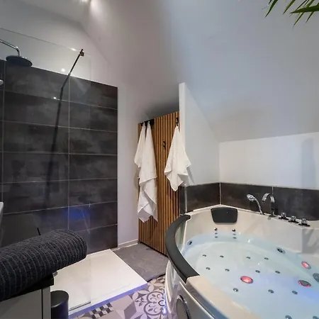 Appartement Confort Proche Europa-park *