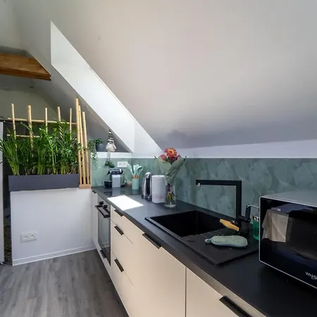 Appartement Confort Proche Europa-park