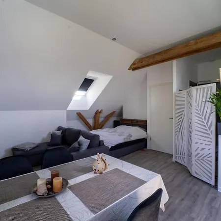 Confort Proche Europa-park Appartement